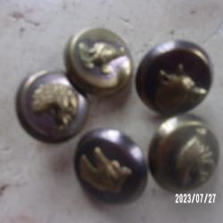 cinq boutons de chasse anciens
