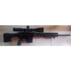 AR15 TROY Par pompe 308w