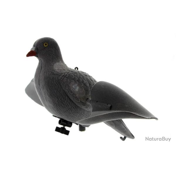 Appelant Pigeon Ailes Tournantes