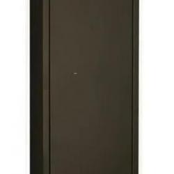 Armoire Forte Fortify Delta 8 Pour Huit Armes