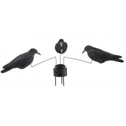 Manège A Corbeaux Tourniquet