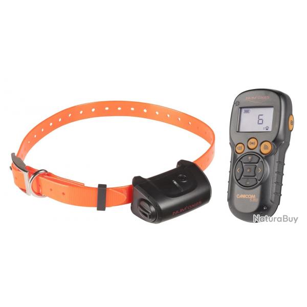 Kit Collier Education Num'Axes Canicom 5.202 Deux Chiens