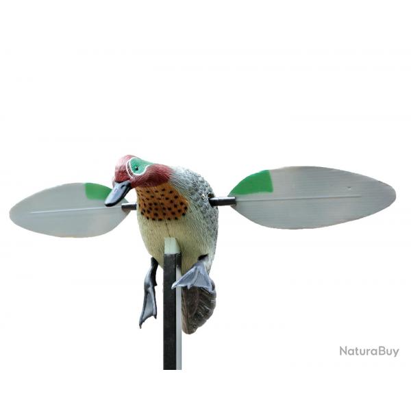 Appelant Mle Sarcelle Hiver Rotor Stepland Ailes Rotatives Electriques