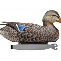Pack Canard Femelle Colvert Ultra HD Moussé Decoys