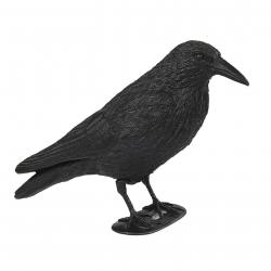 Appelant Corbeau Classique X12