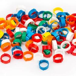 Bagues De Repérage Pour Oie Et Volaille Diamètre 16 MM