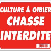 PANNEAU DE SIGNALISATION - CHASSE INTERDITE (D0779