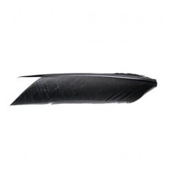Substitut de condor de couleur noire
