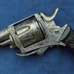 Jolie bulldog 320 de luxe