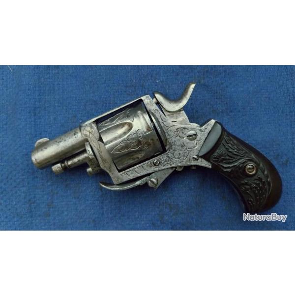 Jolie bulldog 320 de luxe