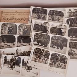12 vues  photos Stereoscopiques jardin Zoologique de Belgique  Anvers
