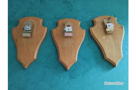 Pinces en bois - Lot de 3