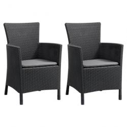 Chaises de salle à manger de jardin 2 pcs Iowa Graphite