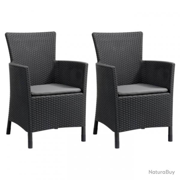 Chaises de salle  manger de jardin 2 pcs Iowa Graphite