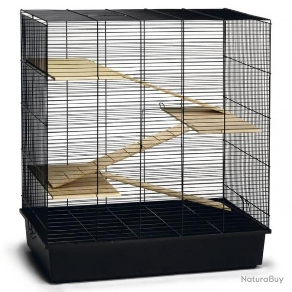 Cage pour rongeurs Scooby Noir 70x40x78 cm Mtal