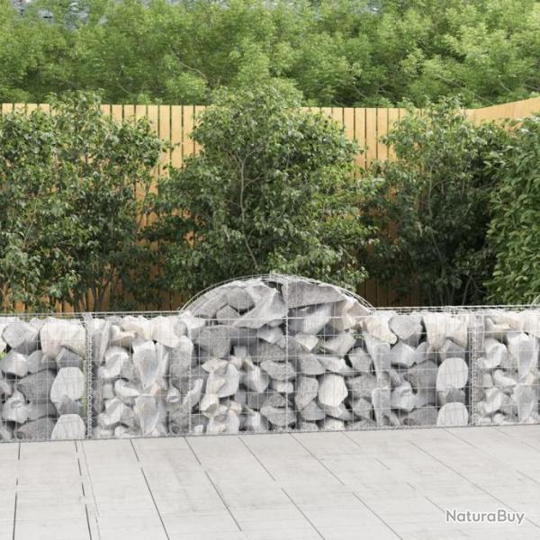 Paniers  gabions arqus 9 pcs 200x50x60/80 cm Fer galvanis