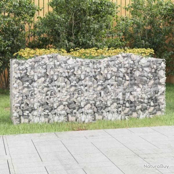 Lit surlev  gabions arqu 200x50x100 cm Fer galvanis