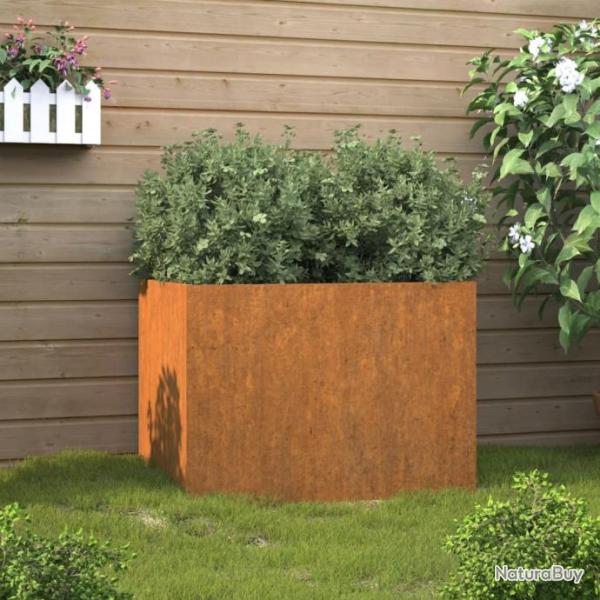 Jardinire 62x47x46 cm acier corten