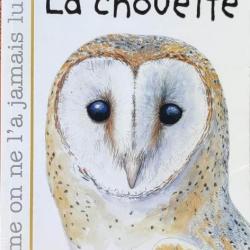 « La chouette »  Par Jean-Louis Vallée;  Delachaux Jeunesse | OISEAUX | RAPACES