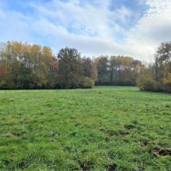 Bois de 23.5 ha avec étangs et clairière (proche de Laon, Aisne)