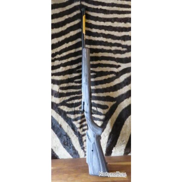 Carabine linaire BROWNING T-Bolt Target Varmint lamine cal.17HMR canon 49cm filet - busc rglable