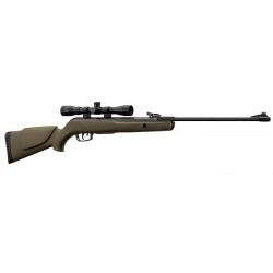 Pack carabine à air comprimé Gamo BIG CAT 1000E Barricade Cal.4,50mm Synthétique 19,9J + lunette 4X3