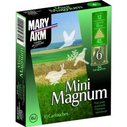 10 CARTOUCHES MARY ARM MINI MAGNUM 40 BJ CAL 12/70 N1