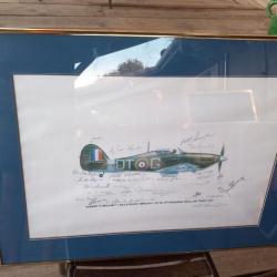 Hawker Hurricane : Litho avec signatures des légendes anglaises WW2 Squadron 257