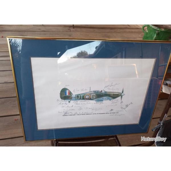 Hawker Hurricane : Litho avec signatures des lgendes anglaises WW2 Squadron 257