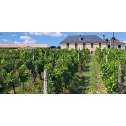 Propriété viticole avec maison et gîtes 30 Ha en Gironde à 20 minutes de Bordeaux DF-1014-A