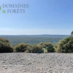 Propriété de Chasse & d'Agrément en Ardèche 120 hectares DF-265-A2