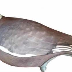 Chaussette pigeon 3D