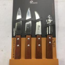 Lot de 4 couteaux à légumes