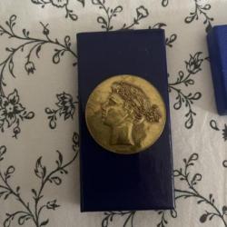 Médaille Alliance Française marianne en bronze de Belmondo