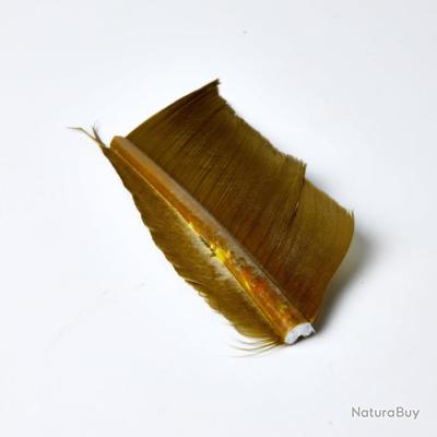 Plume D'oie Jaune Olive Pour Pêche à La Mouche - Substitut Condor, Fabriqué En France