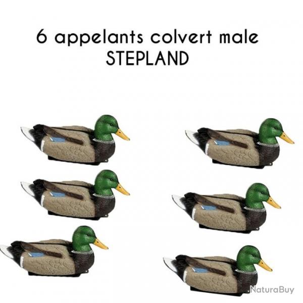 6 appelants colvert male STEPLAND 