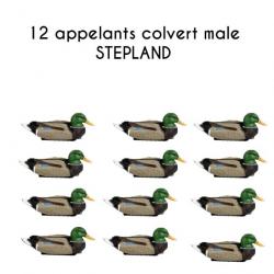 12 appelants colvert male STEPLAND 