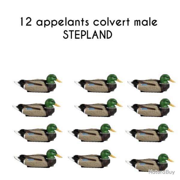 12 appelants colvert male STEPLAND 