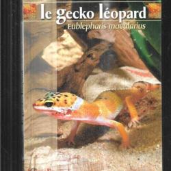 le gecko léopard d'olivier antonini