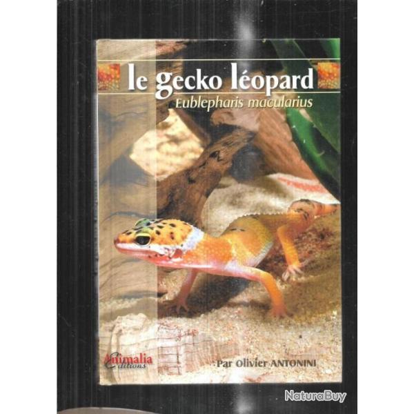 le gecko lopard d'olivier antonini
