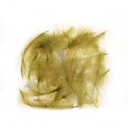 1g Plumes CDC(CUL DE CANARD) FRENCH SACHET DE 1 GRAMME COULEUR olive
