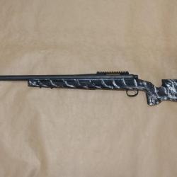 Remington 700 308 WIN