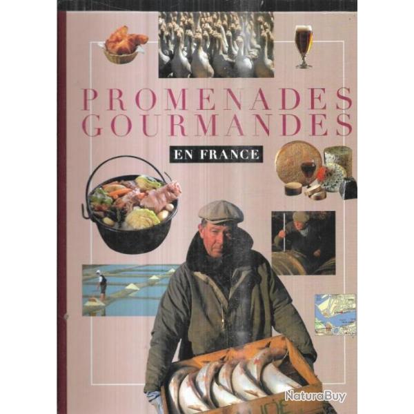 promenades gourmandes en france jean-luc petitrenaud et pierre vallaud