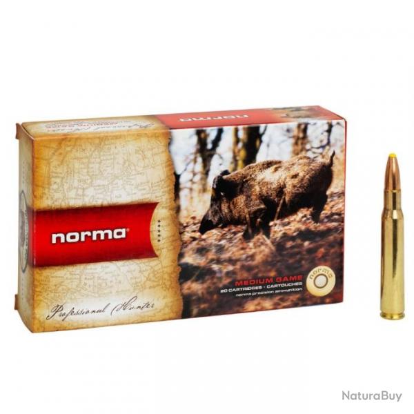 Munitions NORMA 300WIN MAG 180GR PPDC PLASTIC POINT x5 boites