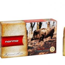 Destockage !! Norma 30-06 Pointe Plastique 11.7g 180gr x2 boites