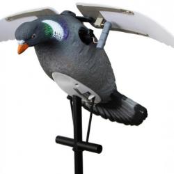 Appelant pigeon à ailes battantes LUCKY DUCK