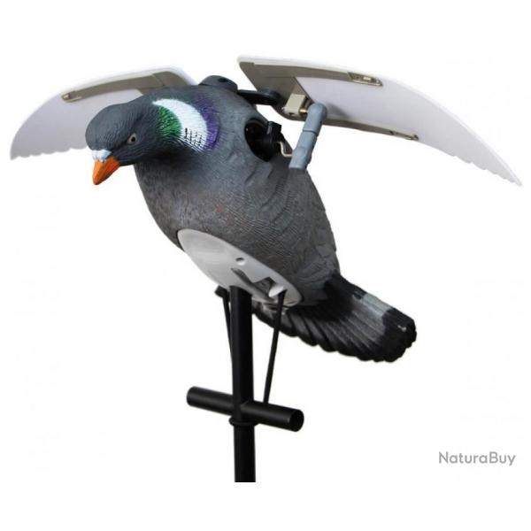 Appelant pigeon  ailes battantes LUCKY DUCK