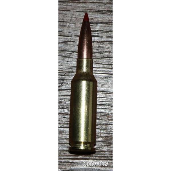 6mm Advanced Rifle Cartridge ou 6mm ARC ( 6 x 38 )