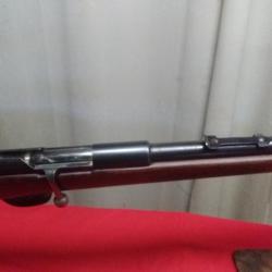 carabine POPULAIRE 6 mm bosquet