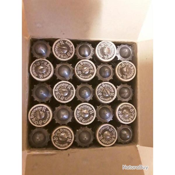 25 balles brenneck RWS calibre 20